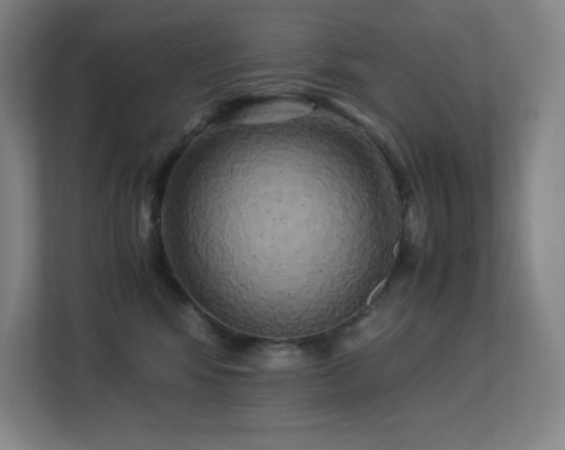 X0000113250424200909101432