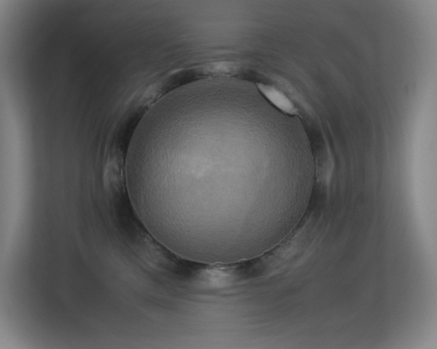 X0000113250425200909101432