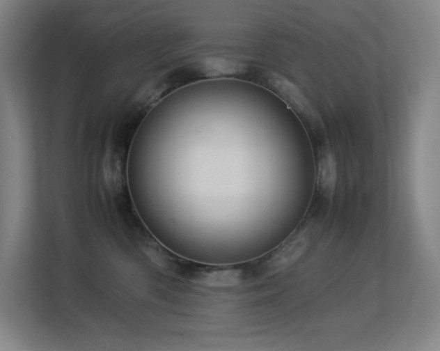 X0000113250426200909101432