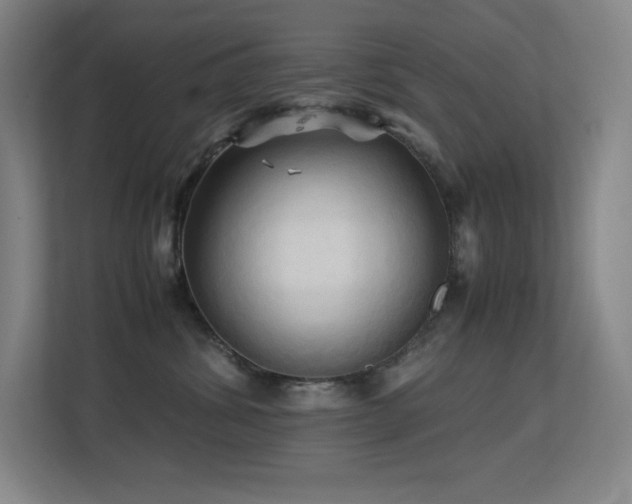 X0000113250428200909101432
