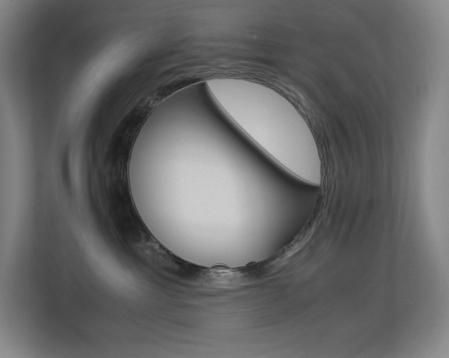 X0000113250429200909101432
