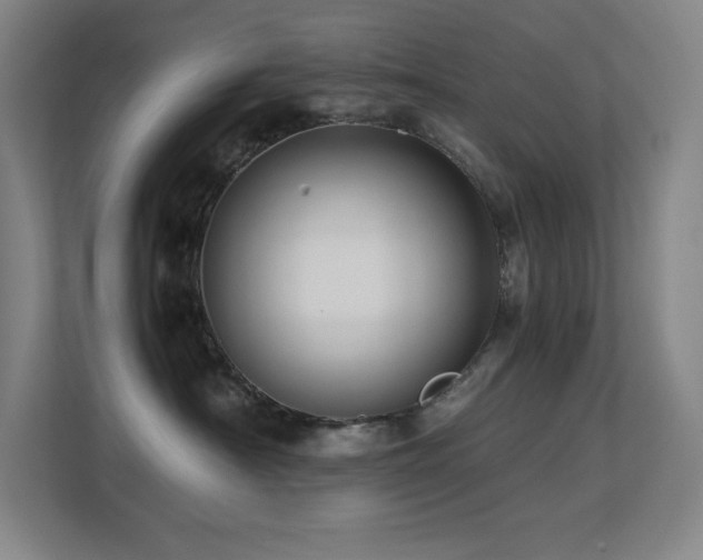 X0000113250430200909101432