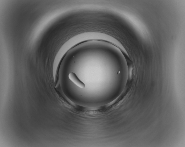 X0000113250431200909101432