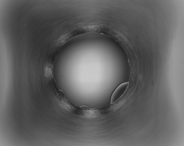 X0000113250432200909101432