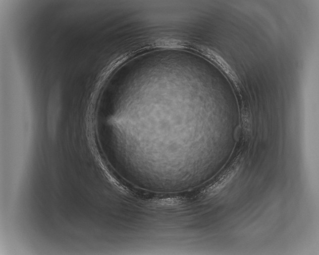 X0000113250433200909101431