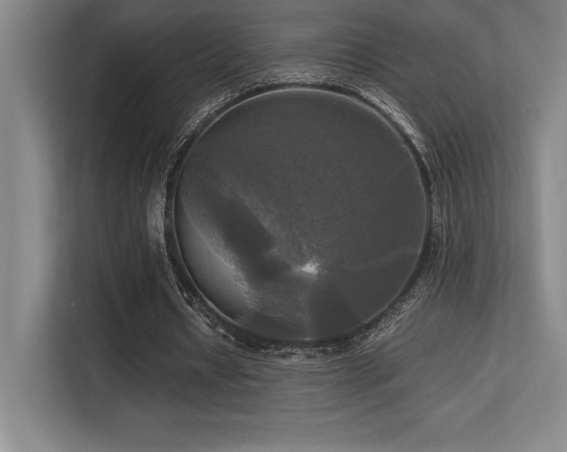 X0000113250434200909101431