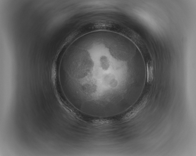 X0000113250435200909101431