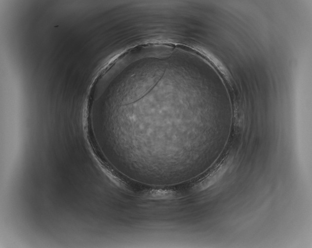 X0000113250437200909101431
