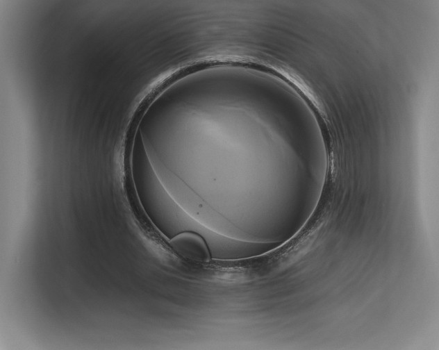 X0000113250438200909101431