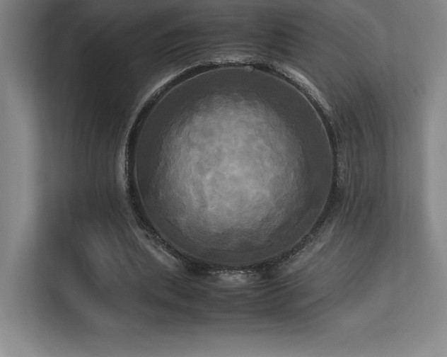 X0000113250439200909101431