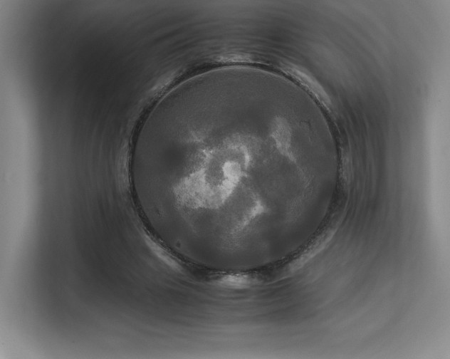 X0000113250441200909101431