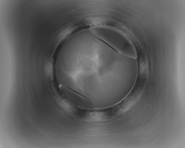 X0000113250444200909101431