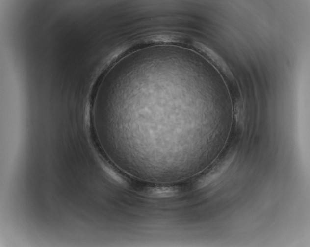 X0000113250445200909101431