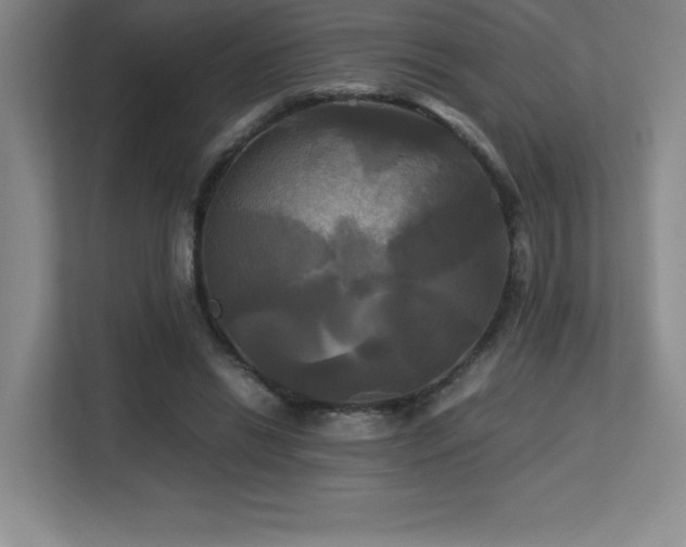 X0000113250446200909101431