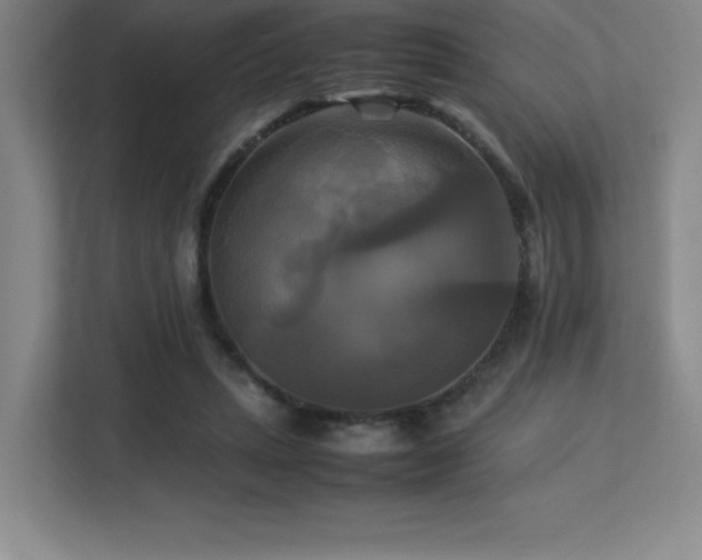 X0000113250447200909101431