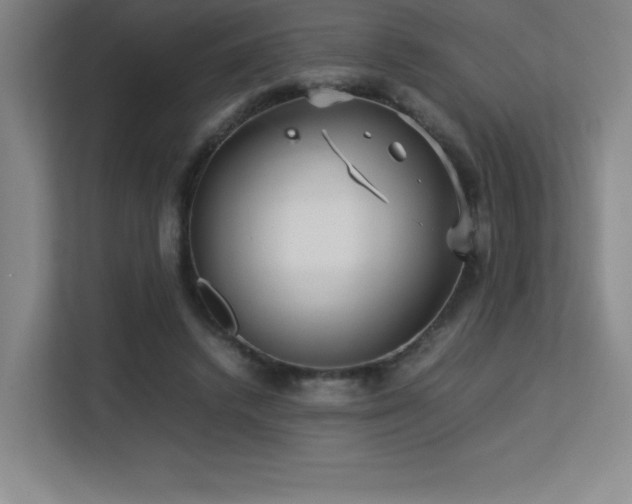 X0000113250448200909101431