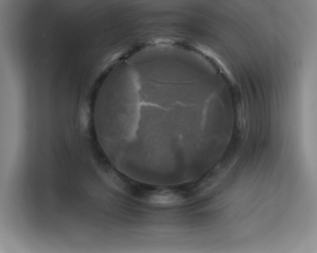 X0000113250451200909101431