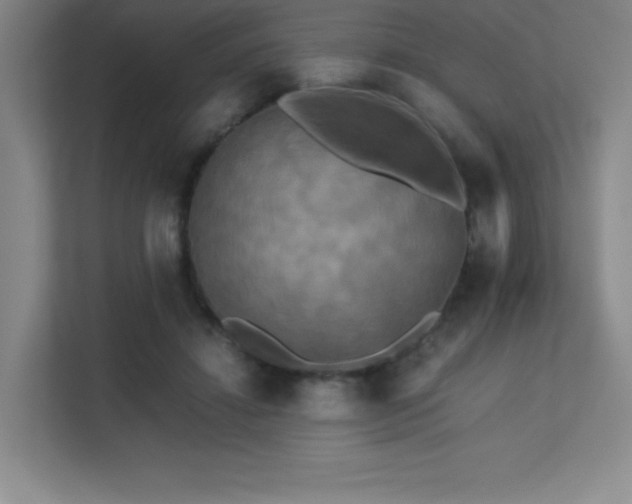 X0000113250452200909101432