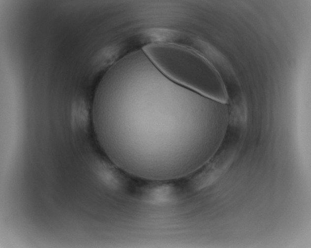 X0000113250456200909101432