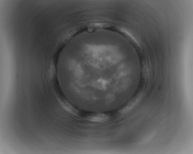 X0000113250459200909101432