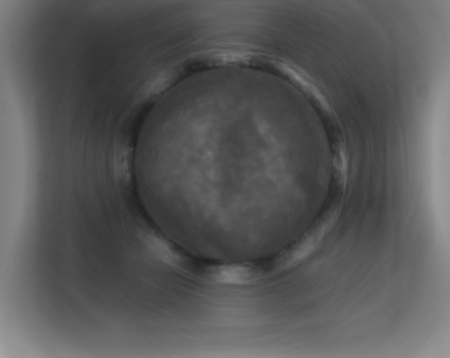 X0000113250462200909101432