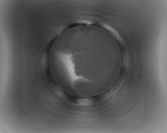 X0000113250465200909101432