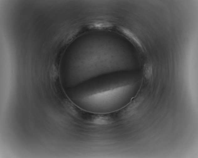 X0000113250471200909101432