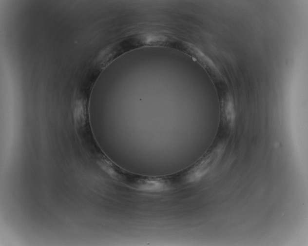 X0000113250475200909101432