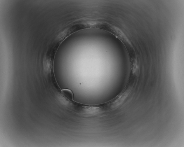 X0000113250476200909101432