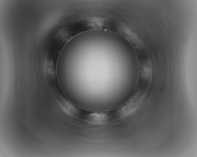 X0000113250477200909101432
