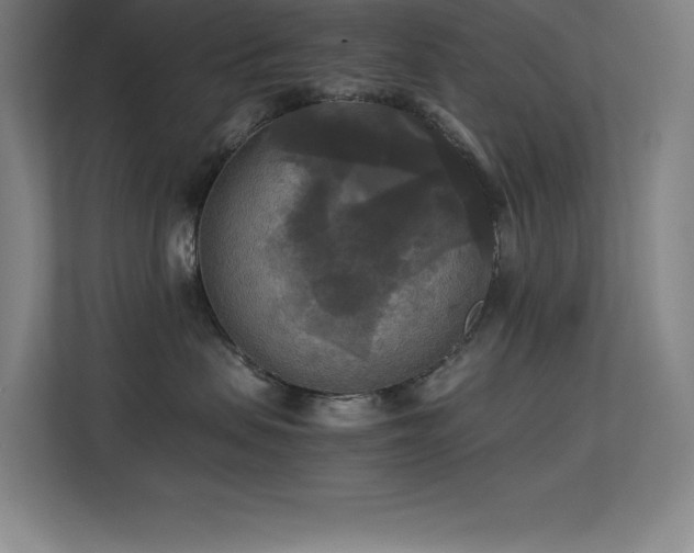 X0000113250479200909101432