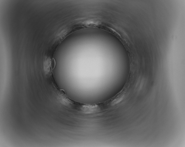 X0000113250480200909101432