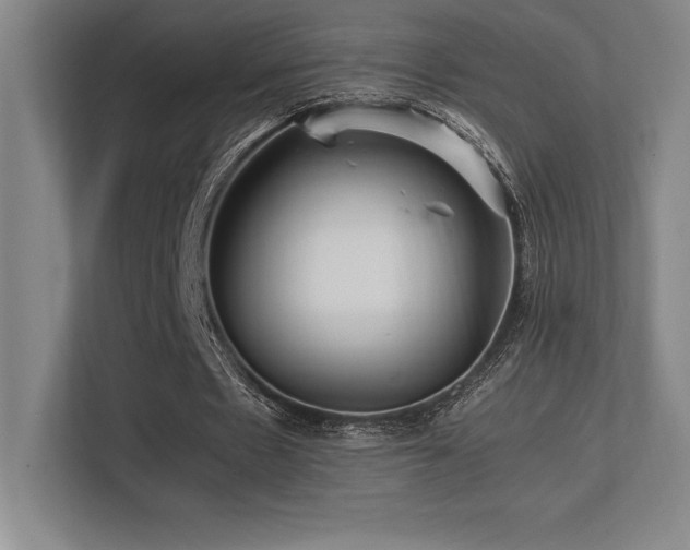 X0000113250481200909101431