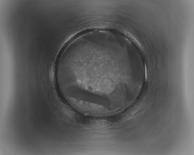 X0000113250483200909101431