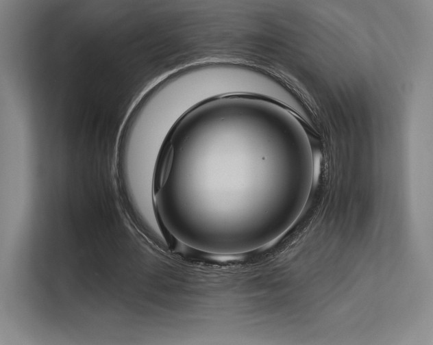 X0000113250484200909101431