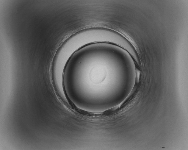 X0000113250485200909101431
