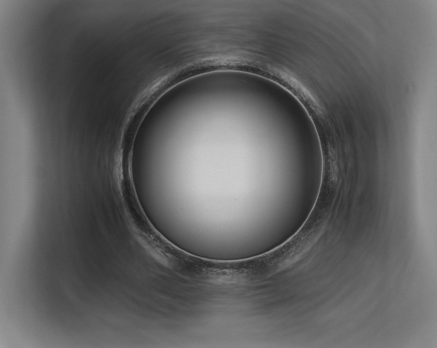 X0000113250486200909101431