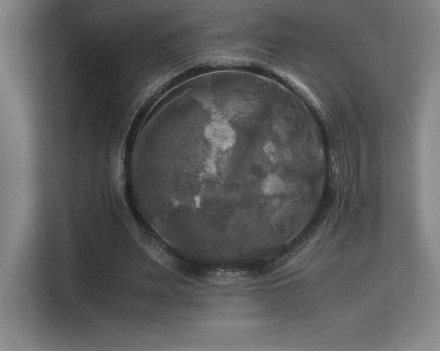X0000113250487200909101431