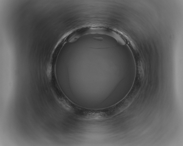 X0000113250488200909101431