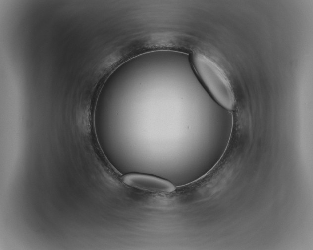 X0000113250489200909101431