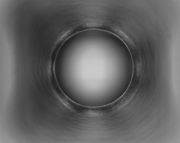 X0000113250490200909101431