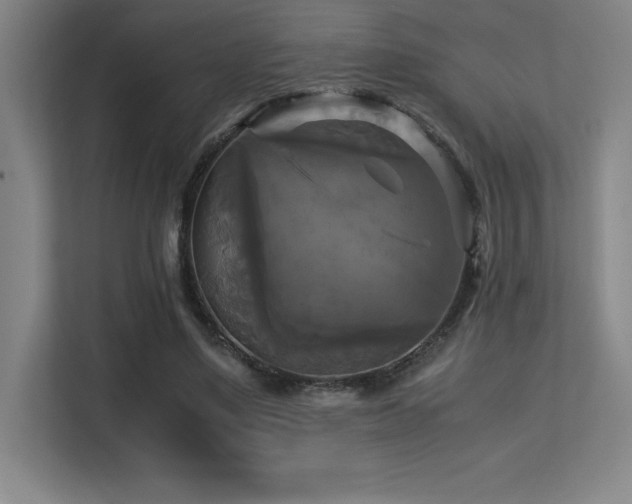 X0000113250491200909101431