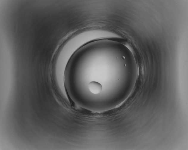 X0000113250492200909101431