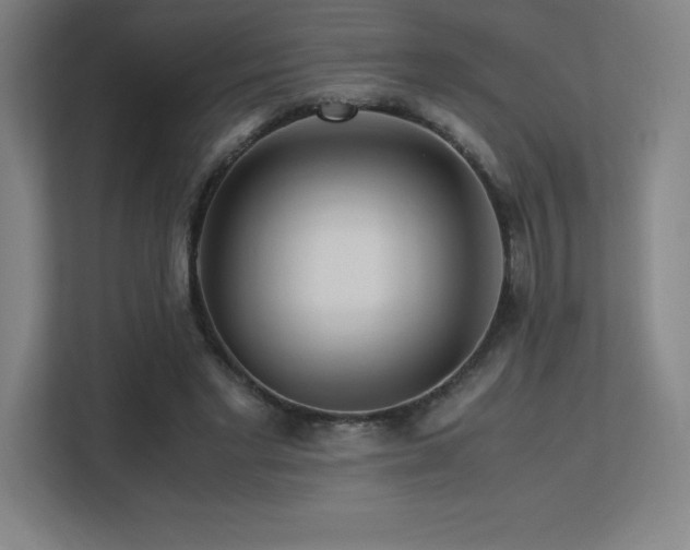 X0000113250493200909101431