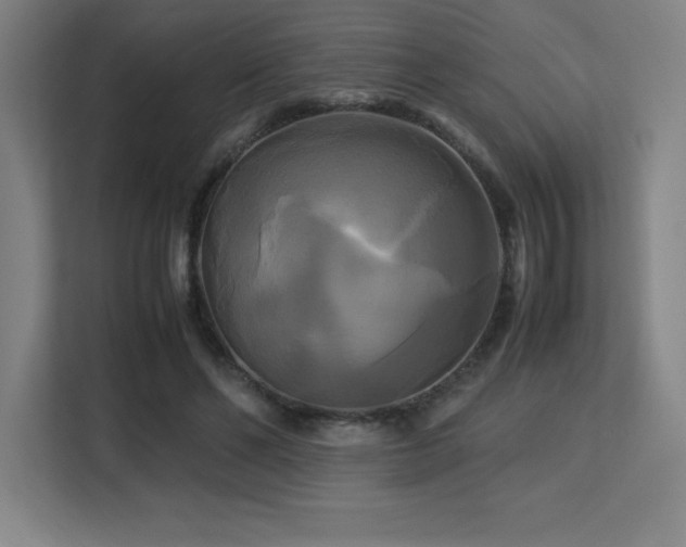X0000113250494200909101431