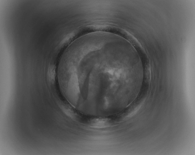X0000113250495200909101431