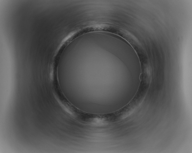 X0000113250496200909101431
