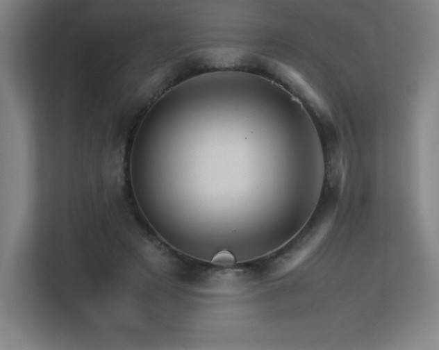 X0000113250497200909101431