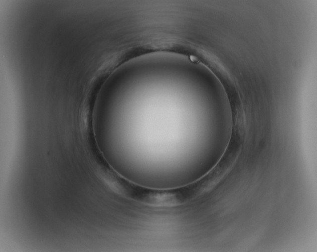 X0000113250501200909101431