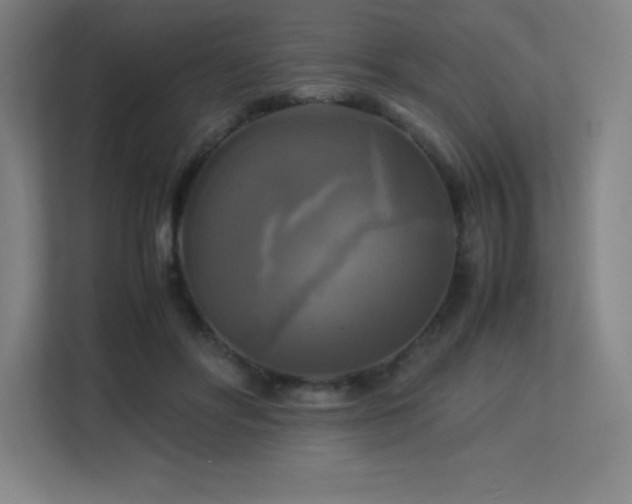 X0000113250502200909101431